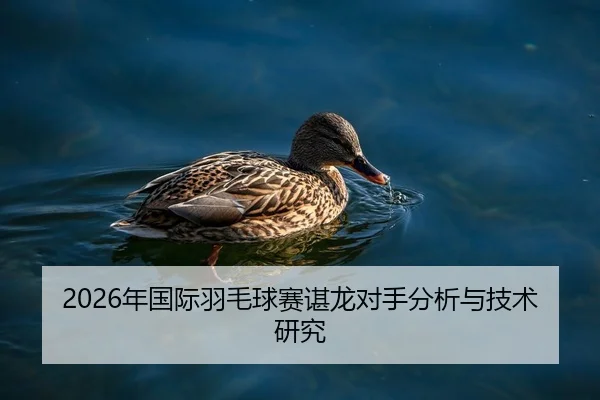 2026年国际羽毛球赛谌龙对手分析与技术研究
