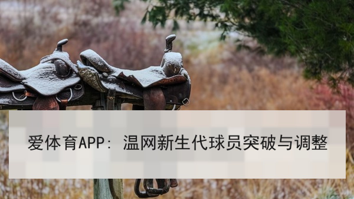 爱体育APP: 温网新生代球员突破与调整