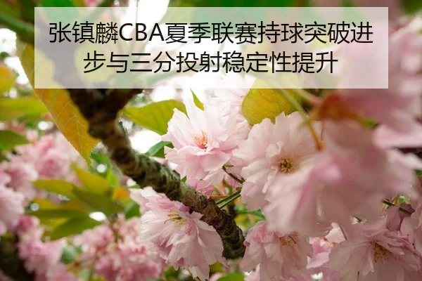 张镇麟CBA夏季联赛持球突破进步与三分投射稳定性提升