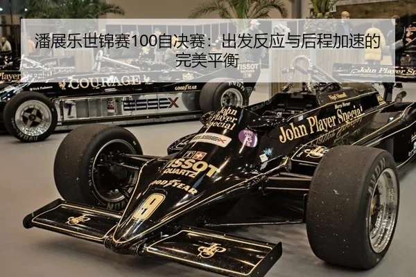 pan-zhan-le-shi-jin-sai-zi-jue-sai-chu-fa-fan-ying-yu-hou-cheng-jia-su-de-wan-mei-ping-heng-3-479.jpg